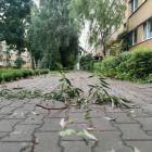zdjęcie nr 13