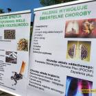 zdjęcie nr 25