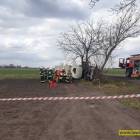 zdjęcie nr 7
