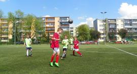 Fotka nr 2 z 10
