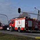 Fotka nr 2 z 11