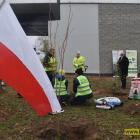zdjęcie nr 30