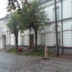 zdjęcie nr 8