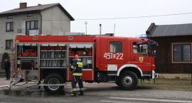 Fotka nr 2 z 10