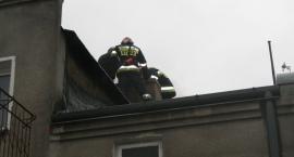 zdjęcie nr 9