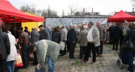 zdjęcie nr 8