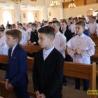 zdjęcie nr 43