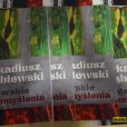 zdjęcie nr 14