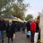 zdjęcie nr 42