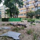 zdjęcie nr 10