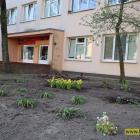 zdjęcie nr 11