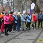 zdjęcie nr 12