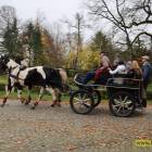 zdjęcie nr 98
