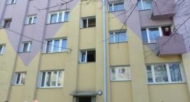 Fotka nr 4 z 7