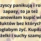 Fotka nr 0 z 6