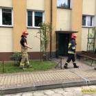 Fotka nr 1 z 4