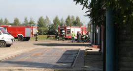Fotka nr 1 z 3