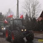 zdjęcie nr 49
