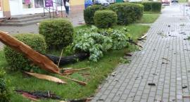 zdjęcie nr 12