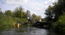 zdjęcie nr 7
