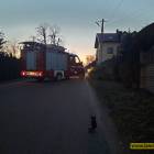 Fotka nr 4 z 10