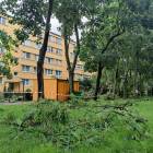 zdjęcie nr 26