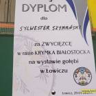 zdjęcie nr 33