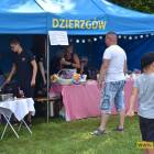 zdjęcie nr 15