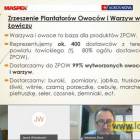 zdjęcie nr 10