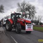zdjęcie nr 15