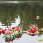 zdjęcie nr 131