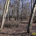 zdjęcie nr 7