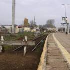 Fotka nr 3 z 12