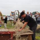 zdjęcie nr 98
