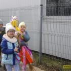 zdjęcie nr 43