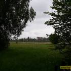 Fotka nr 5 z 6