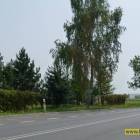 zdjęcie nr 7