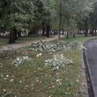 zdjęcie nr 11