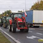 zdjęcie nr 22