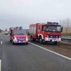 Fotka nr 2 z 4