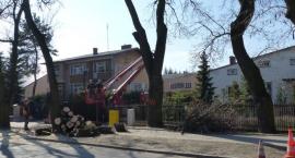 Fotka nr 2 z 4