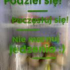 Fotka nr 0 z 3