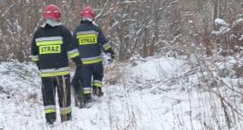 zdjęcie nr 13