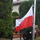 zdjęcie nr 17