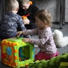 zdjęcie nr 7