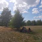 zdjęcie nr 14