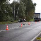 zdjęcie nr 16
