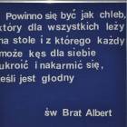 Fotka nr 5 z 18
