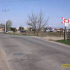 Fotka nr 5 z 7