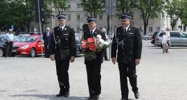 Fotka nr 2 z 17